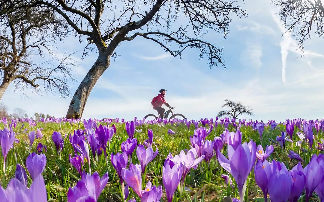 Spring into Action: Preparing Your E-Bike for the New Year's Rides