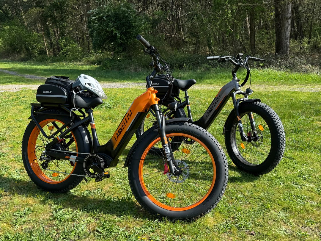 All Electric Bikes