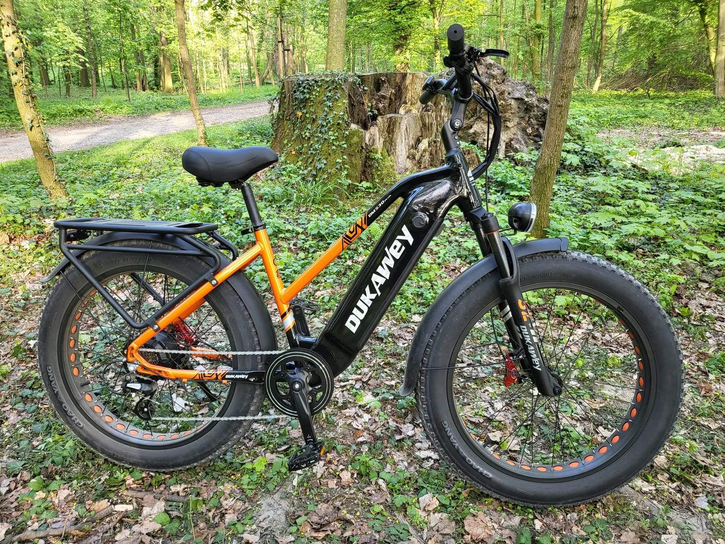 SUV E-bike