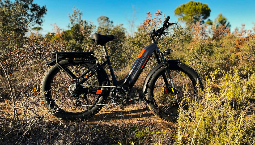 Electric Fat Bike