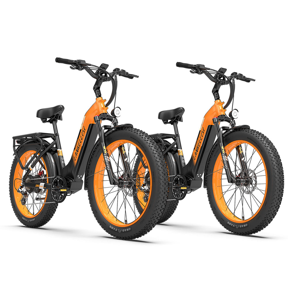 Lankeleisi MG600 Plus * 2 E-Bike Combo