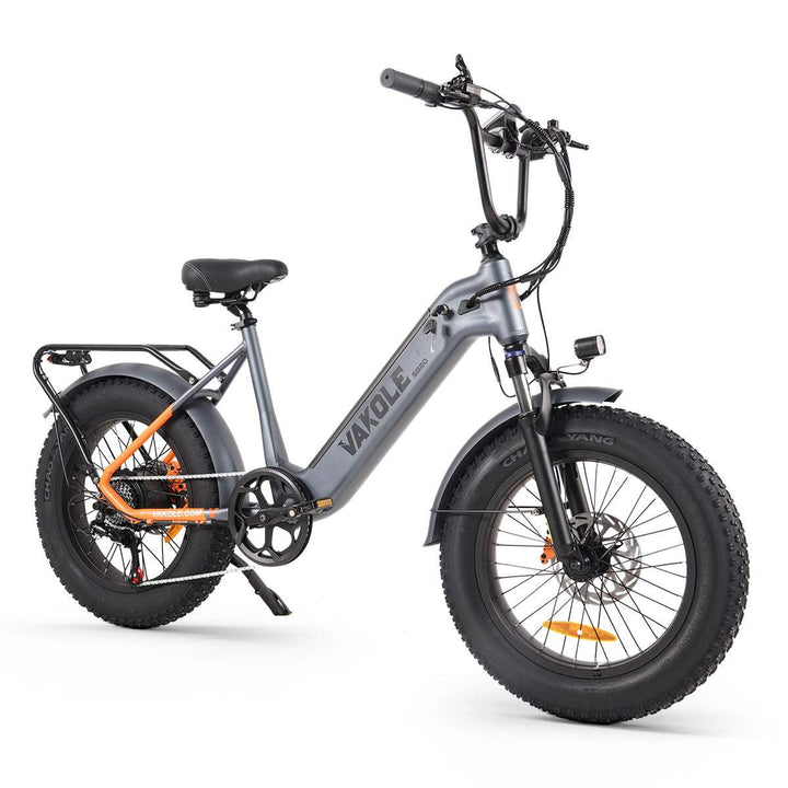 Vakole SG20 250W 20" Fat Bike 748Wh Electric Trekking Bike 48V 15.6Ah Battery