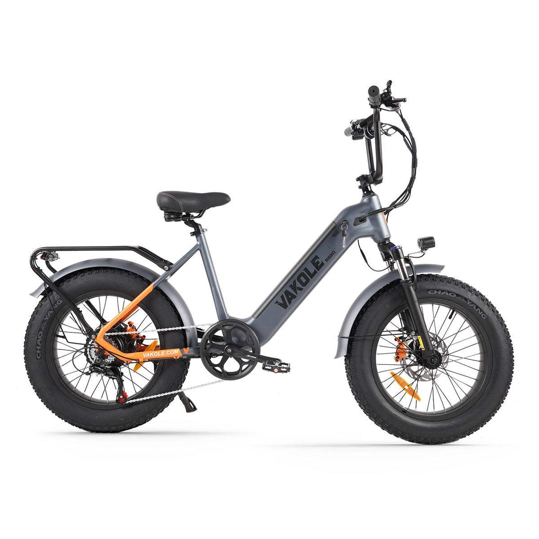 Vakole SG20 250W 20" Fat Bike 748Wh Electric Trekking Bike 48V 15.6Ah Battery