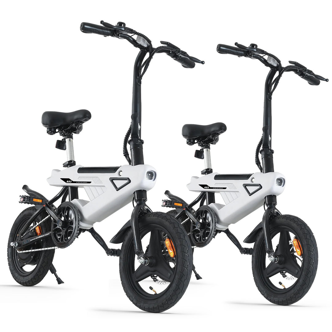 AVDL A02 * 2 E-bikes Bundle