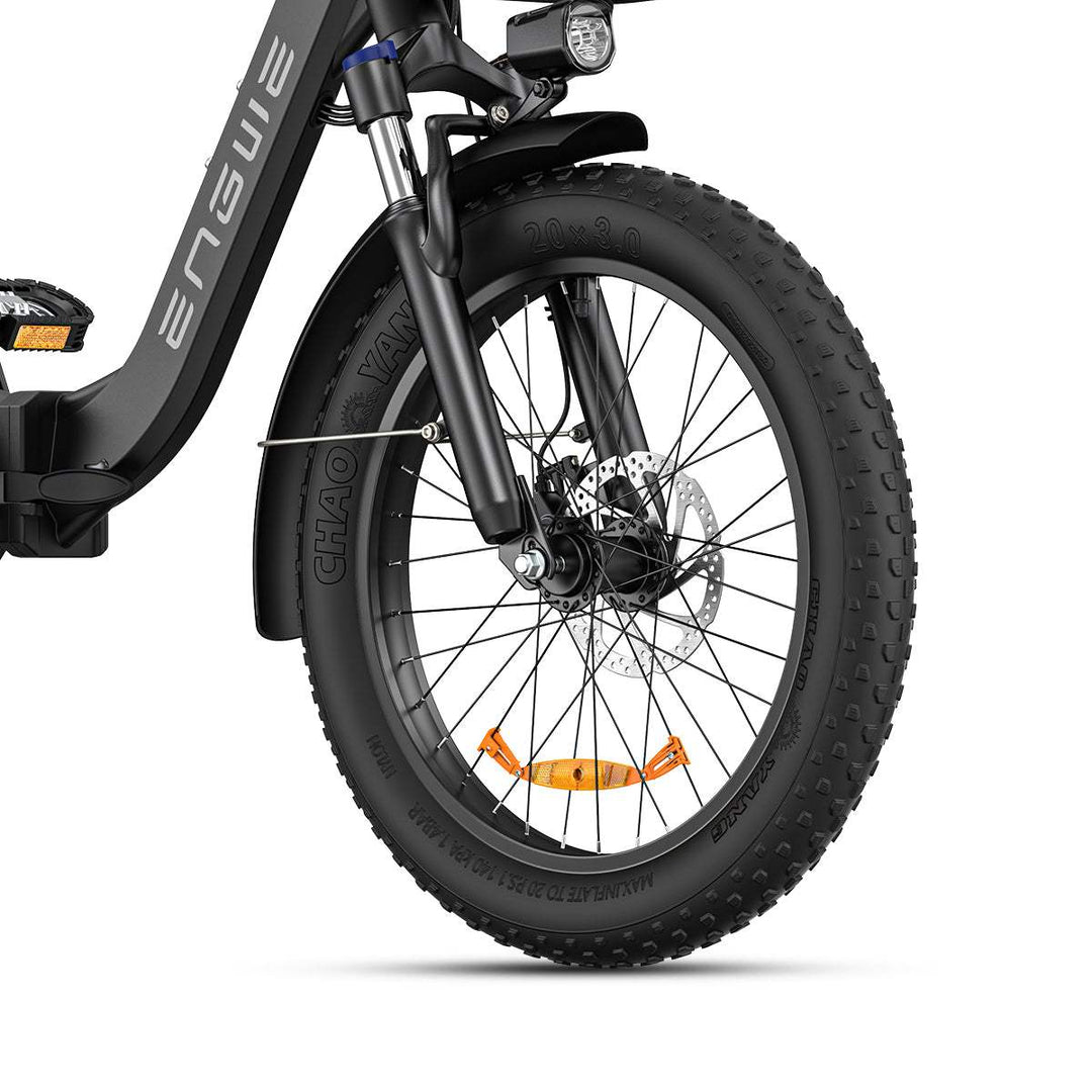 Engwe L20 SE 250W 20" Foldable Electric Bike 561Wh Trekking Bike Step-through E-bike 36V 15.6Ah Battery