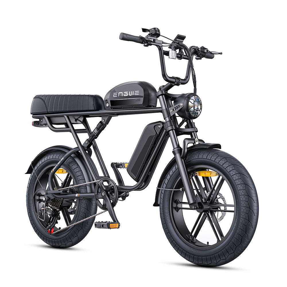 ENGWE M1 250W 20×4.0"Fat Tire Motorcycle-styled E-bike Dual Batteries