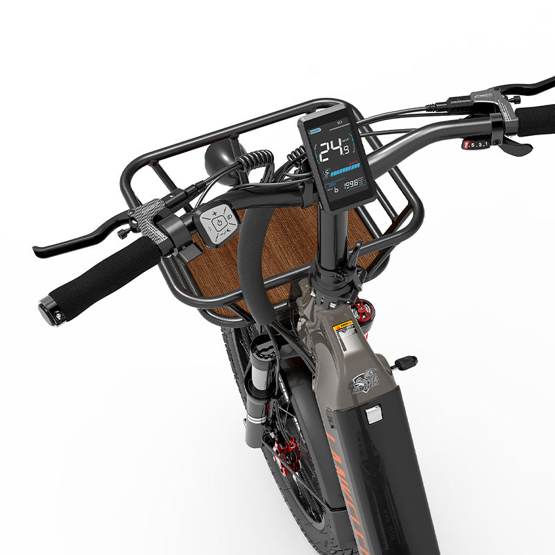 Lankeleisi Wombat-1 1000W 20 "vélo électrique cargo avec capteur de couple batterie Samsung 20Ah [Pre-Order]