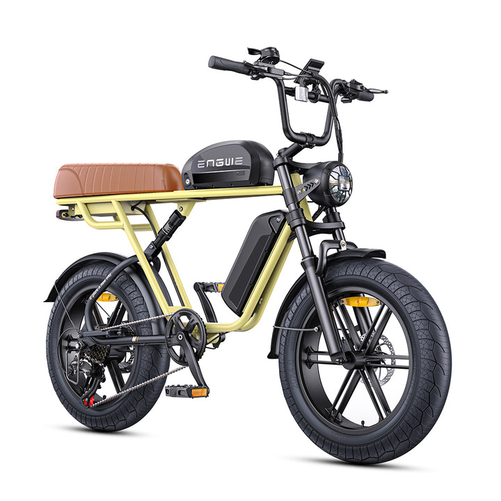 Engwe M1 250W Electric Fat Bike 20" Dual Batteries Retro E-bike