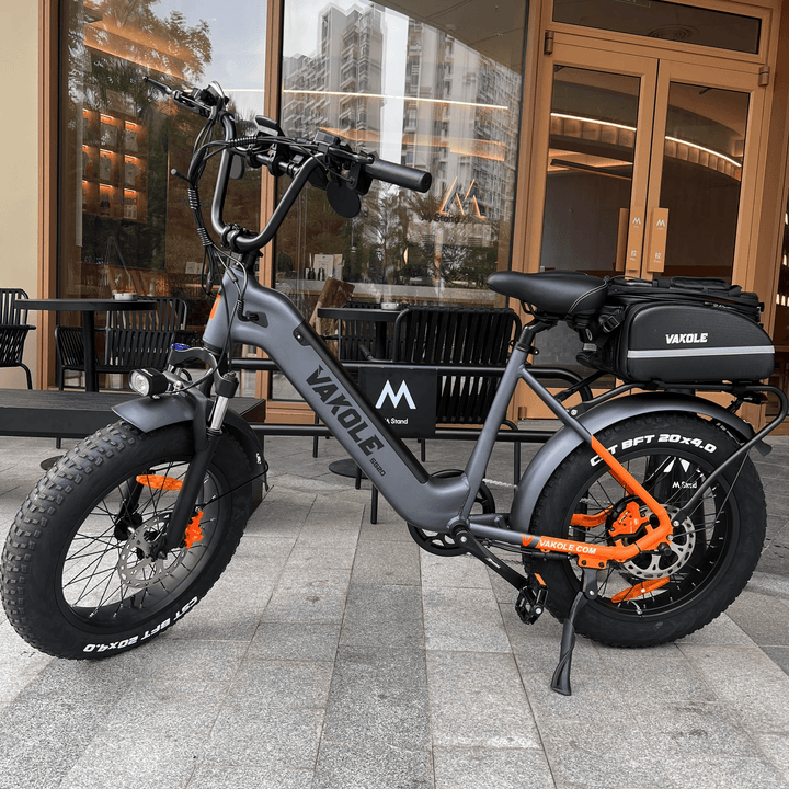 Vakole SG20 250W 20" Fat Bike 748Wh Electric Trekking Bike 48V 15.6Ah Battery