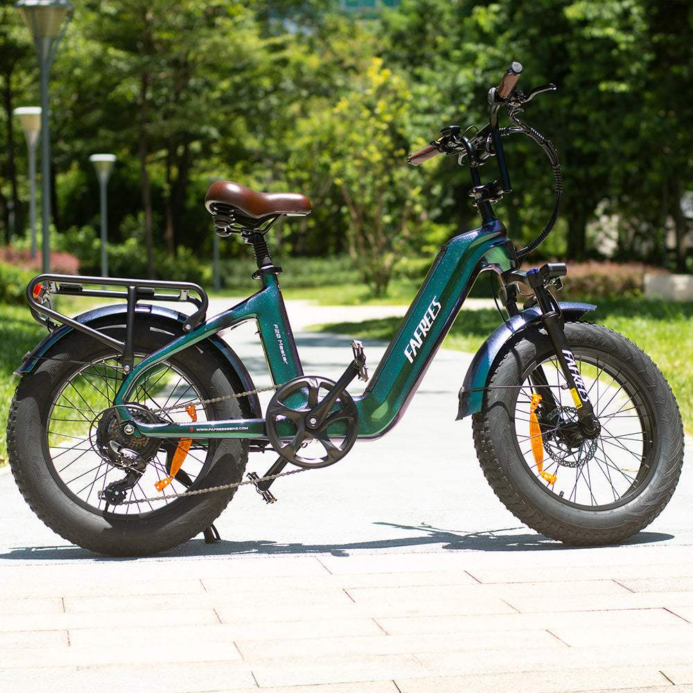 Fafrees F20 Master 500W 20" Fat Bike 1080Wh Carbon-fiber  Electric Bike 48V 22.5Ah Battery