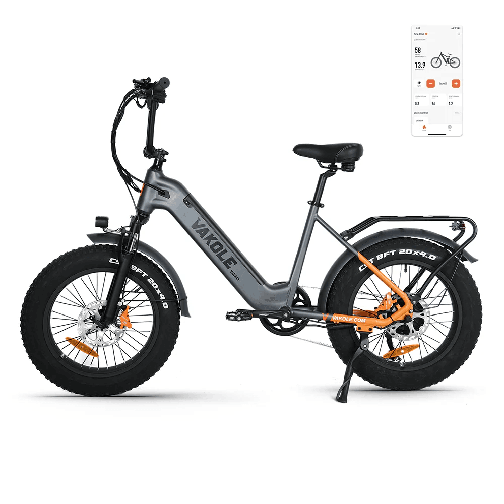 Vakole SG20 250W 20" Fat Bike 748Wh Electric Trekking Bike 48V 15.6Ah Battery