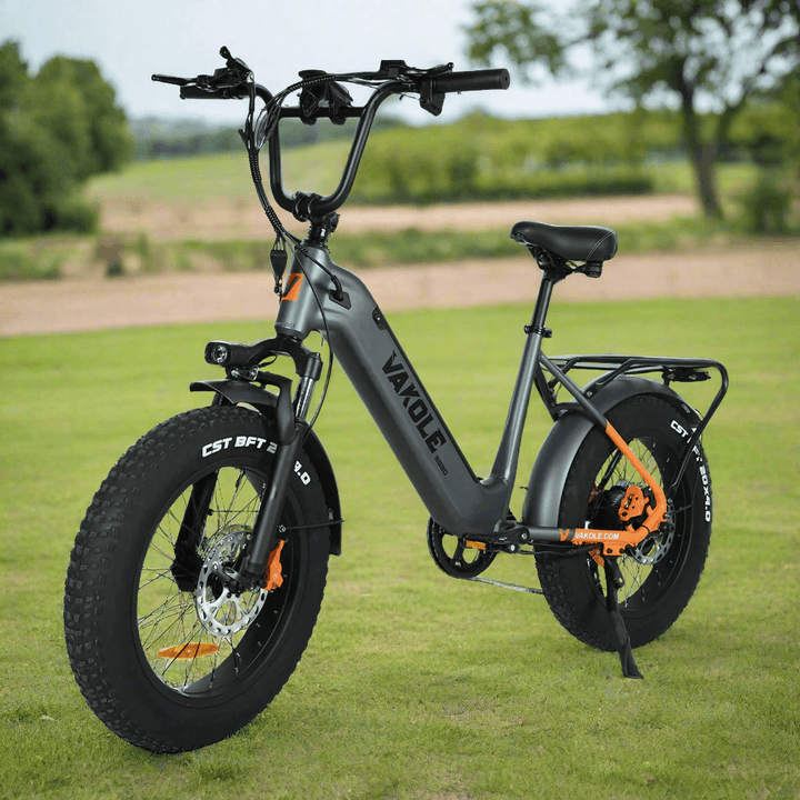 Vakole SG20 250W 20" Fat Bike 748Wh Electric Trekking Bike 48V 15.6Ah Battery