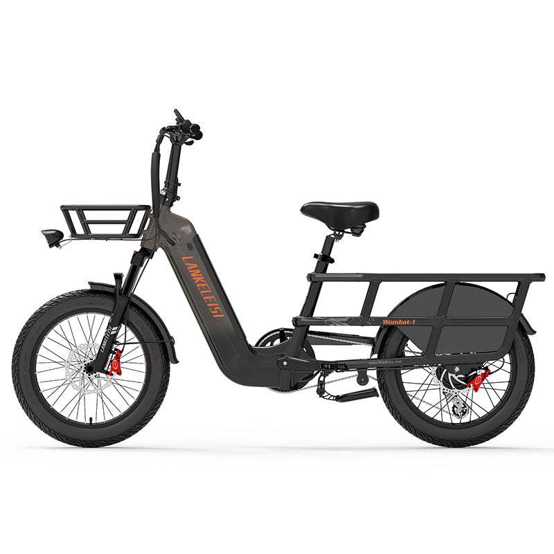 Lankeleisi Wombat-1 1000W 20" Electric Bike 960Wh Longtail Cargo E-Bike With Torque Sensor 48V 20Ah Battery