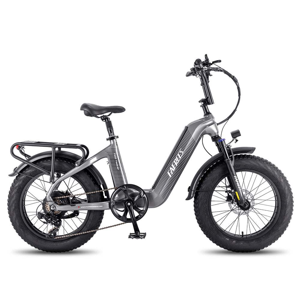 Fafrees F20 Master 500W 20" Fat Bike 1080Wh Carbon-fiber  Electric Bike 48V 22.5Ah Battery