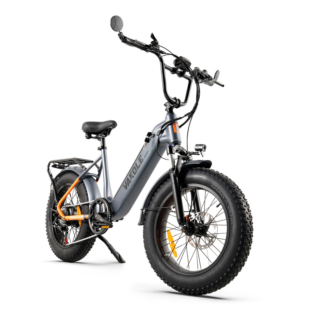 Vakole SG20 250W 20" Fat Bike 691Wh Elektrisches Trekkingrad 48V 14.4Ah Batterie