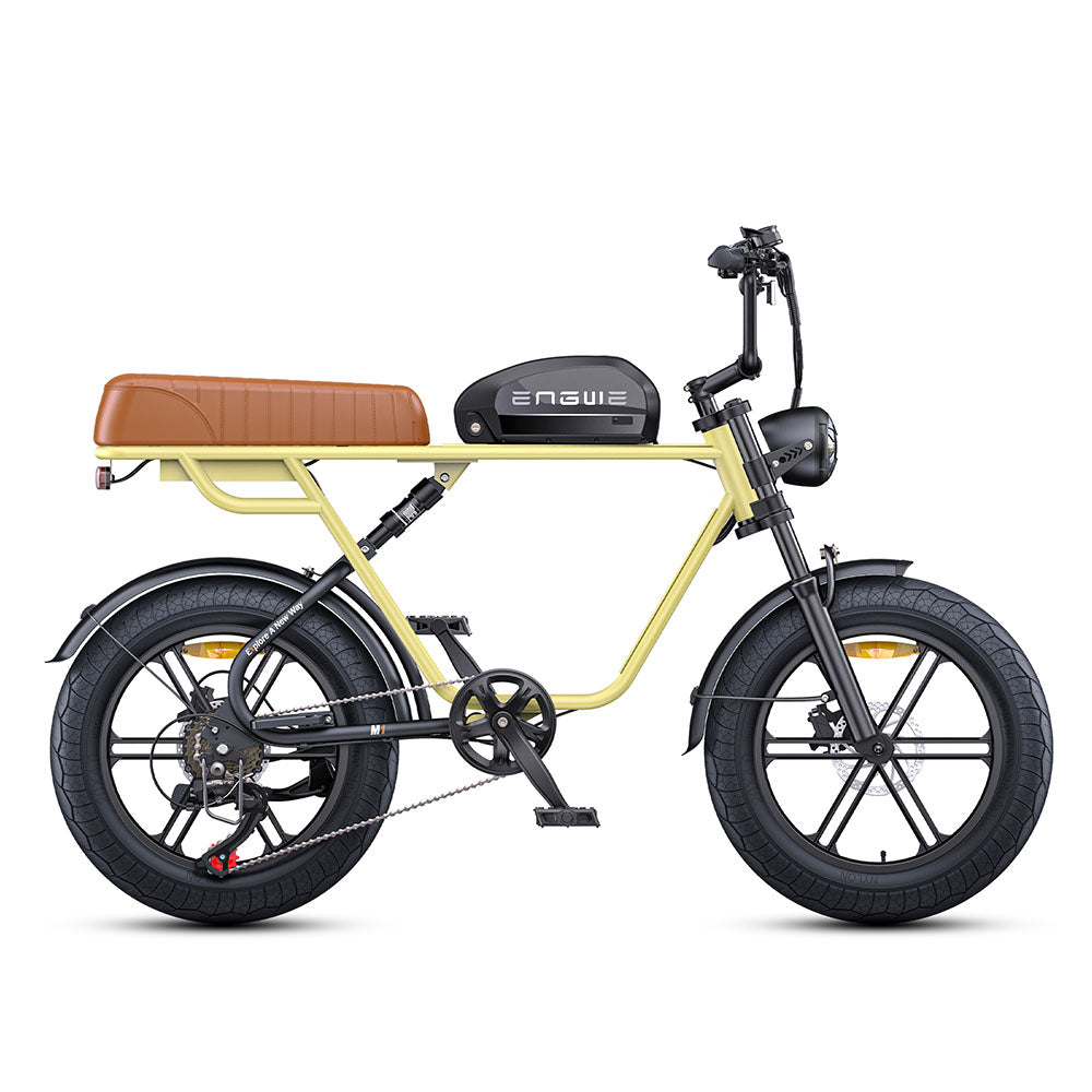 Engwe M1 250W Electric Fat Bike 20" Dual Batteries Retro E-bike