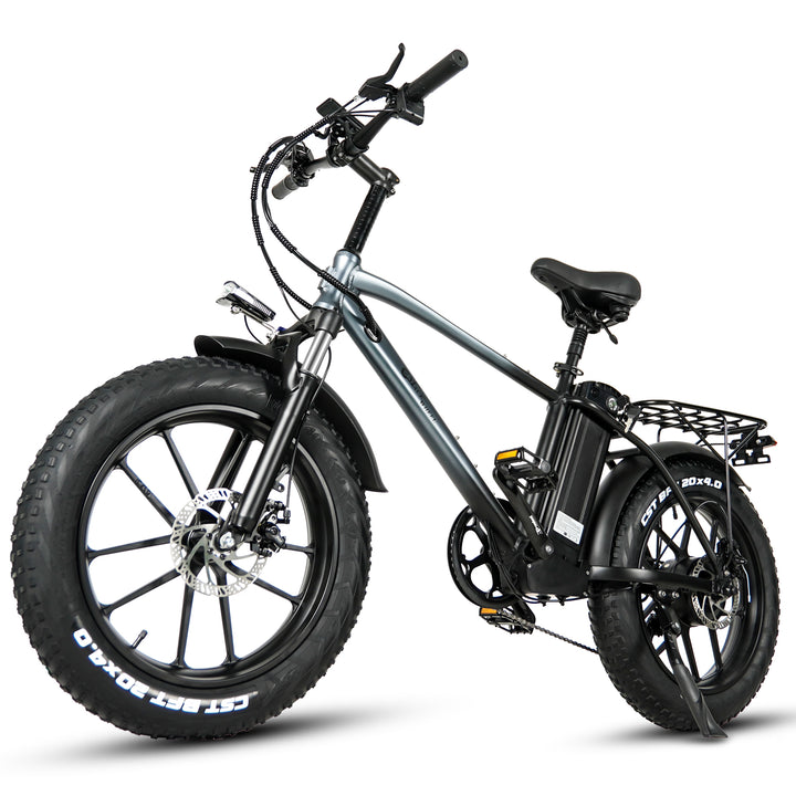 CMACEWHEEL T20 750W 20" Fat Bike 864Wh Electric Mountain Bike Cargo E-bike 48V 18Ah Battery