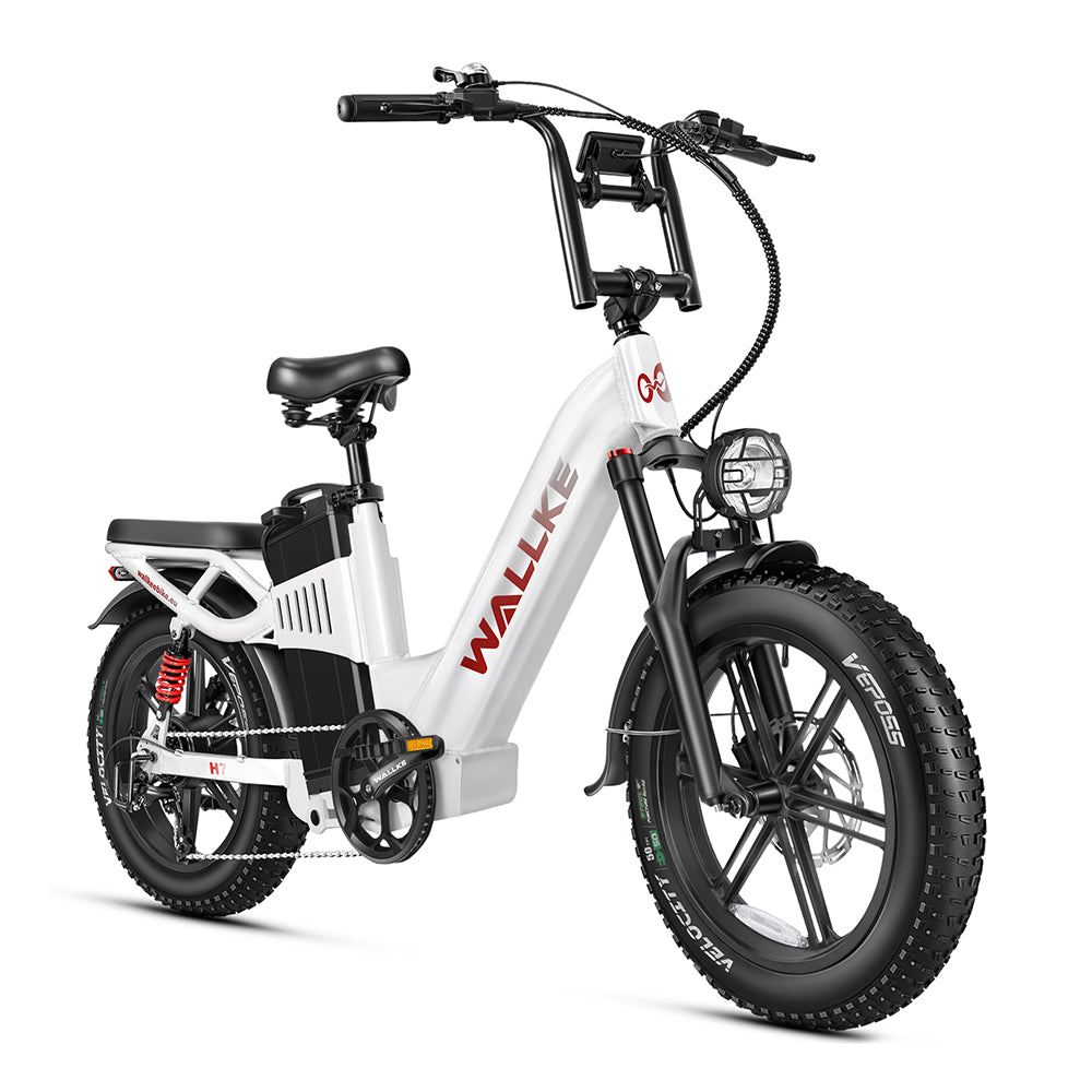 W Wallke H7 AWD 1000W*2 Dual Motor 20" Fat Bike 2880Wh Step-through E-bike 48V 60Ah Battery