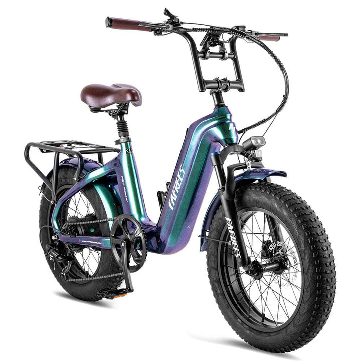 Fafrees F20 Master 500W 20" Fat Bike 1080Wh Carbon-fiber  Electric Bike 48V 22.5Ah Battery