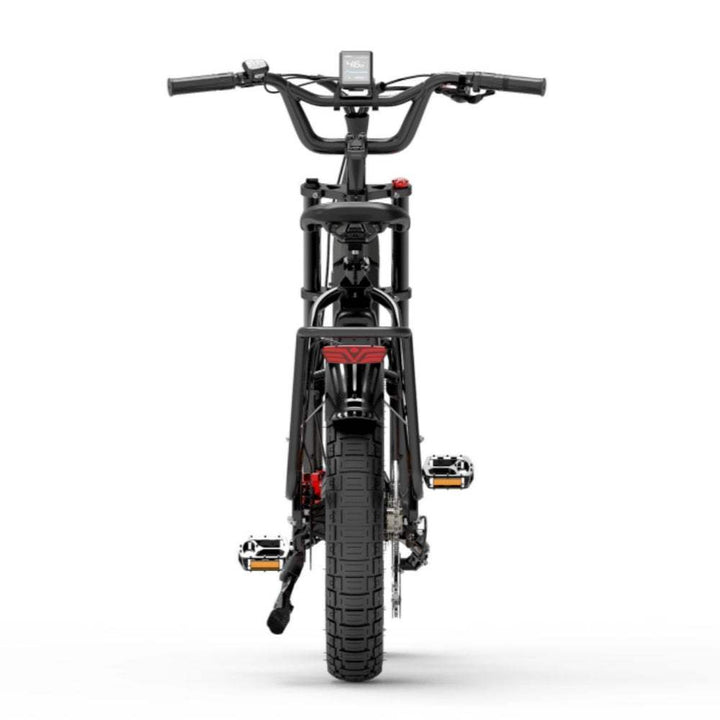 Bezior X500 MAX 750W Bafang Motor 20" Fat Bike Cargo E-Bike Dual Batteries 37.5Ah Samsung Battery