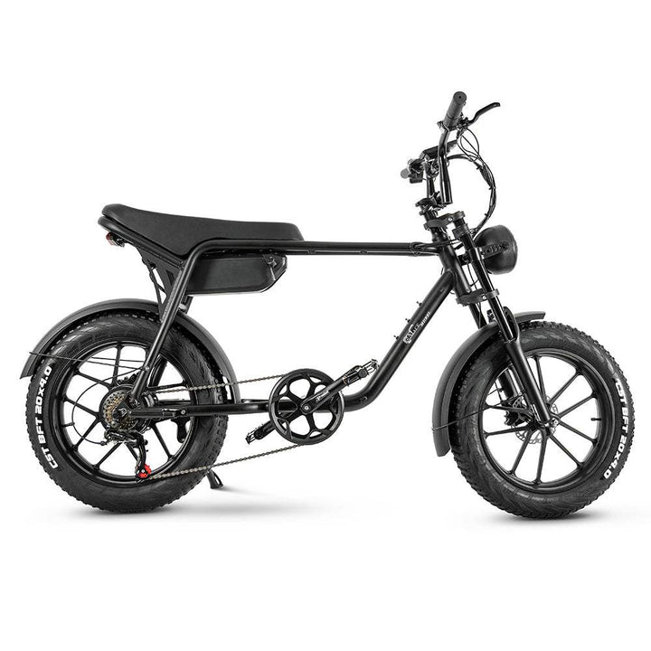 CMACEWHEEL K20 750W 20" Fat Bike 816Wh E-Mountain Bike 48V 17AH Battery