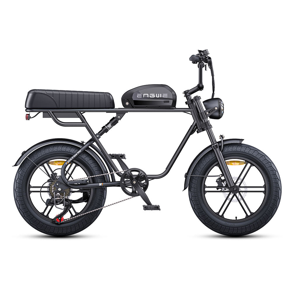 ENGWE M1 250W 20×4.0"Fat Tire Motorcycle-styled E-bike Dual Batteries