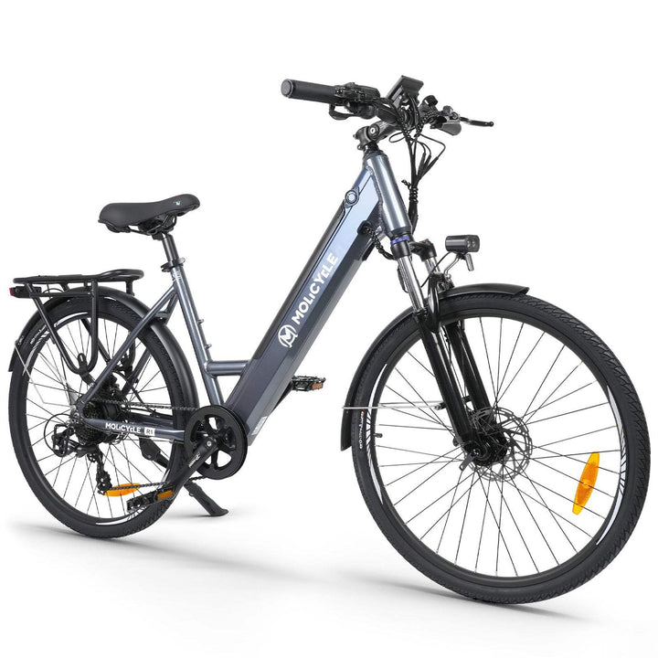 Molicycle R1 250W 26" Electric Trekking Bike 532Wh City E-bike 14.5Ah Support APP