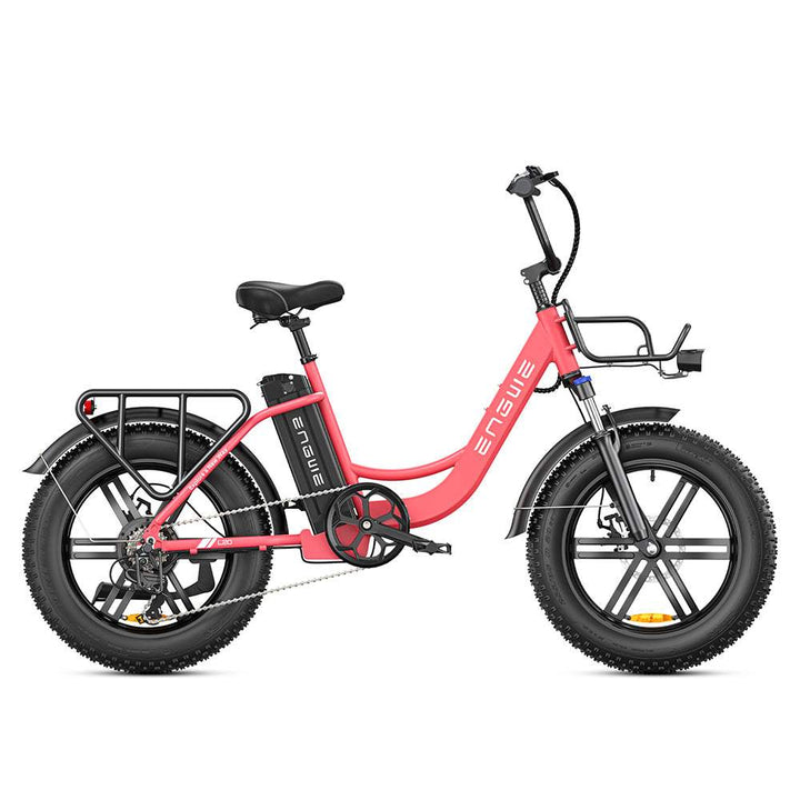 Engwe L20 250W 20" Fat Bike 624Wh Step-through Electric Bike 48V 13Ah E-Bike