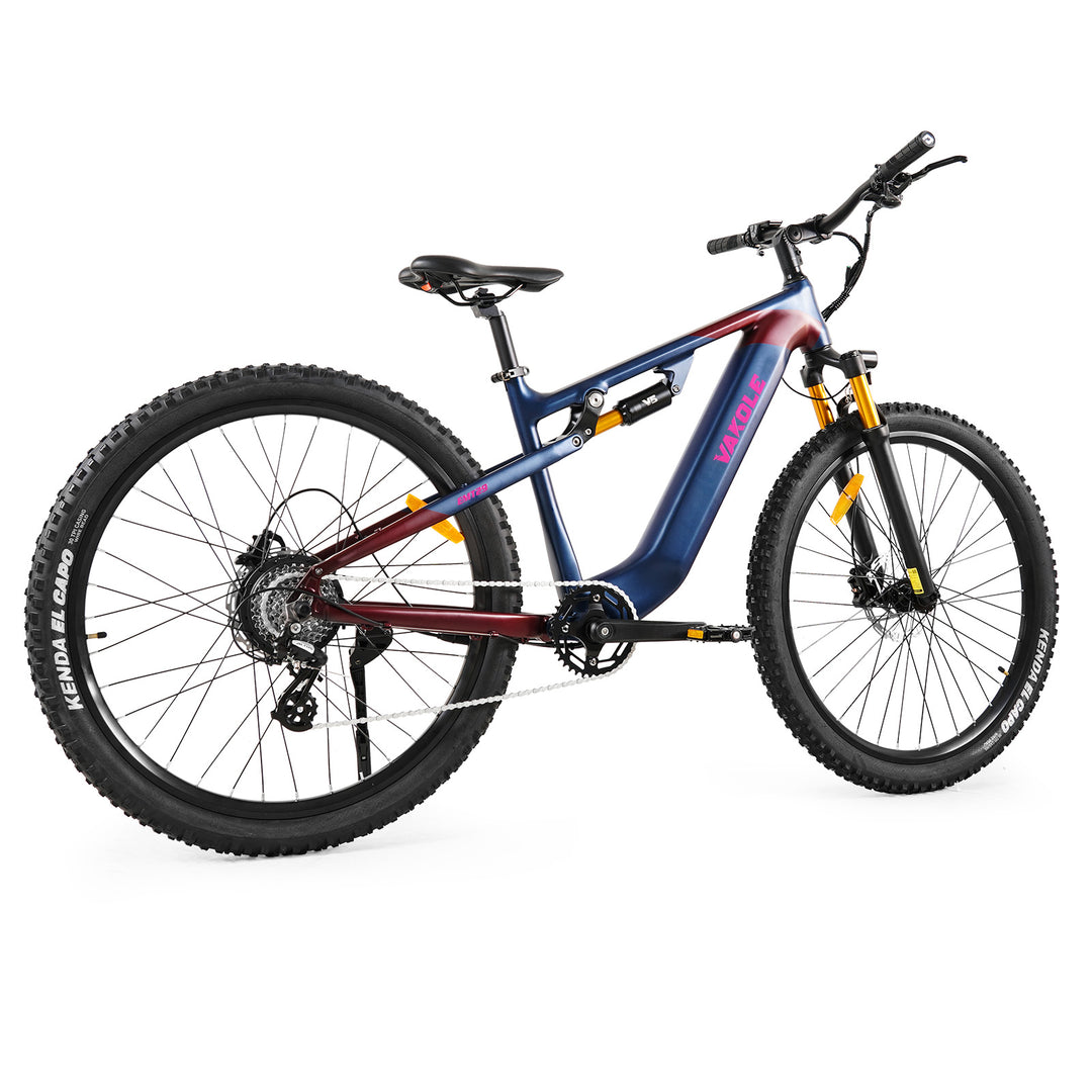 Vakole EMT29 250W 29" VTT Électrique 720Wh VTTAE Niveau d'Entrée avec Capteur de Couple 48V 15Ah Batterie [Précommande]