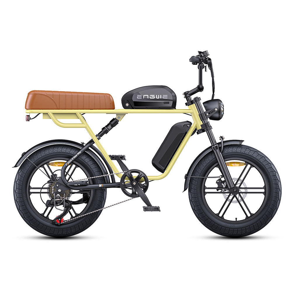 Engwe M1 250W Electric Fat Bike 20" Dual Batteries Retro E-bike