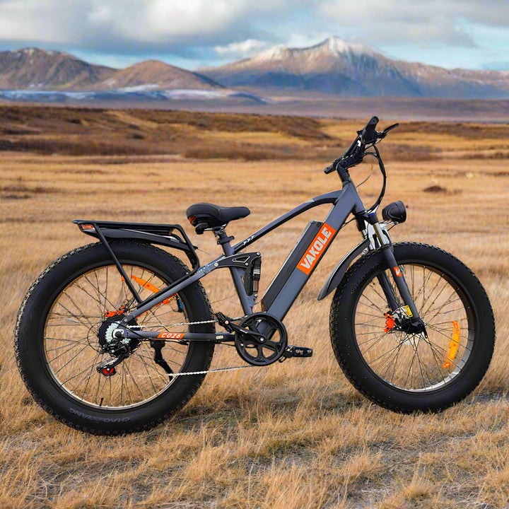 Vakole CO26 750W 26" Fat Bike 768Wh Full Suspension E-Mountain Bike 48V 16Ah Battery