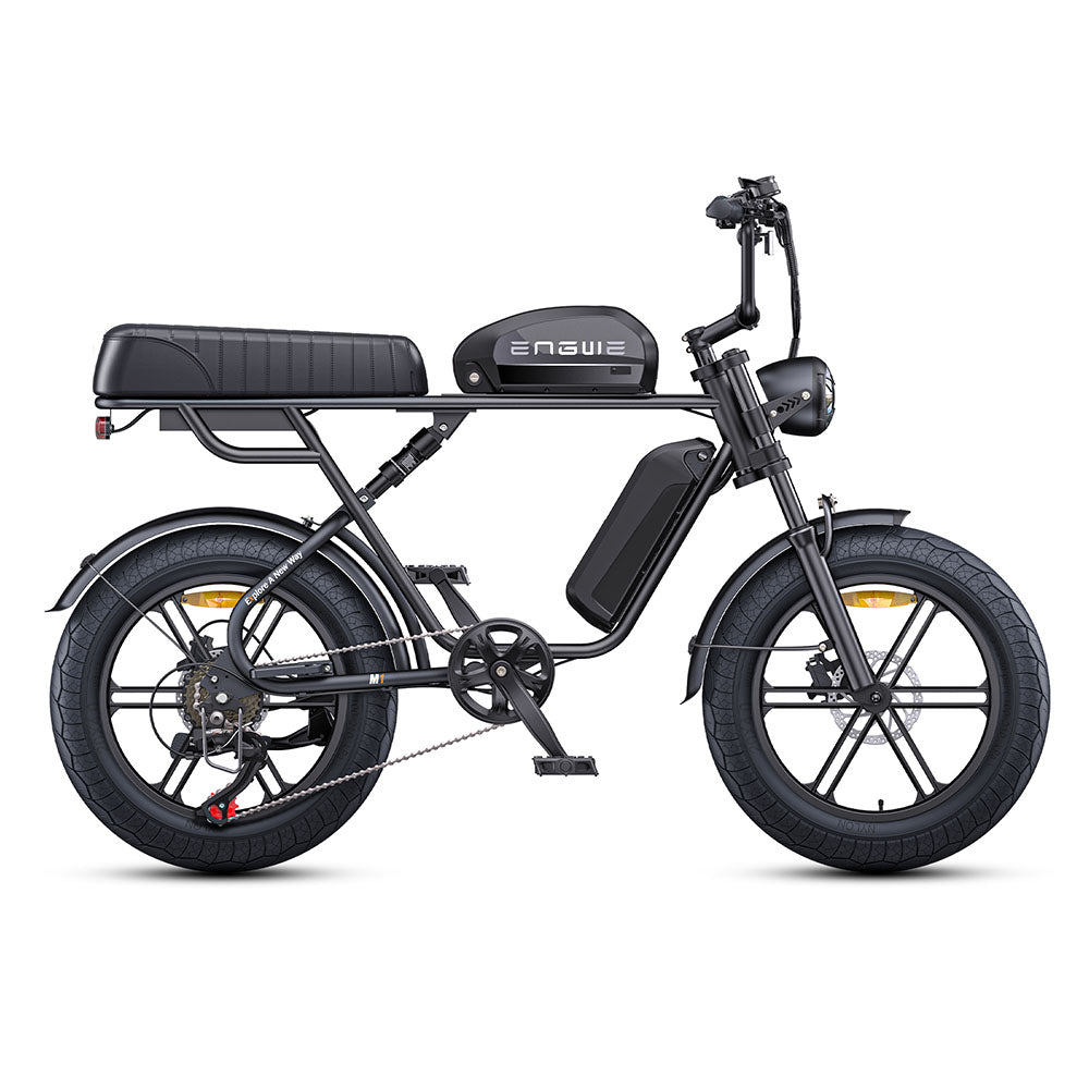 ENGWE M1 250W 20×4.0"Fat Tire Motorcycle-styled E-bike Dual Batteries