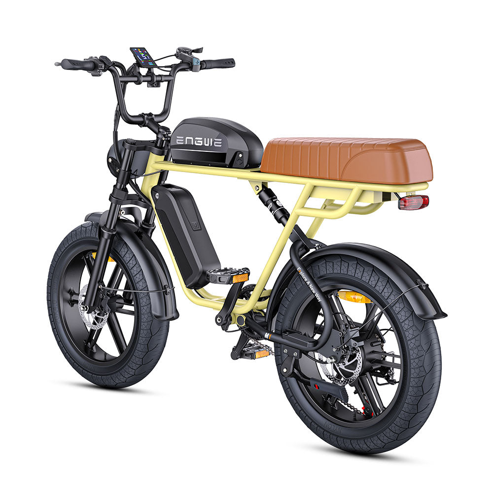 Engwe M1 250W Electric Fat Bike 20" Dual Batteries Retro E-bike