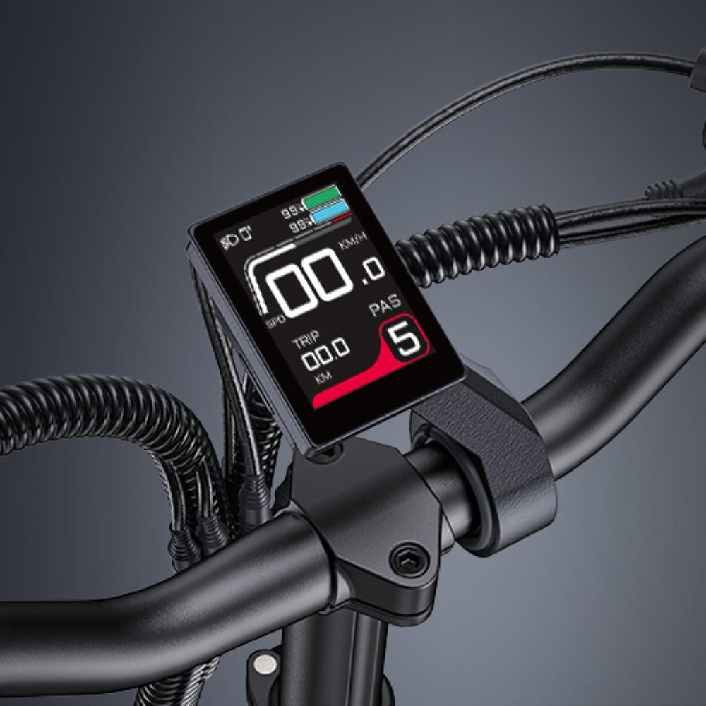 ENGWE LE20 Bicicleta eléctrica de 250 W y 20 pulgadas con sensor de par compatible con aplicación