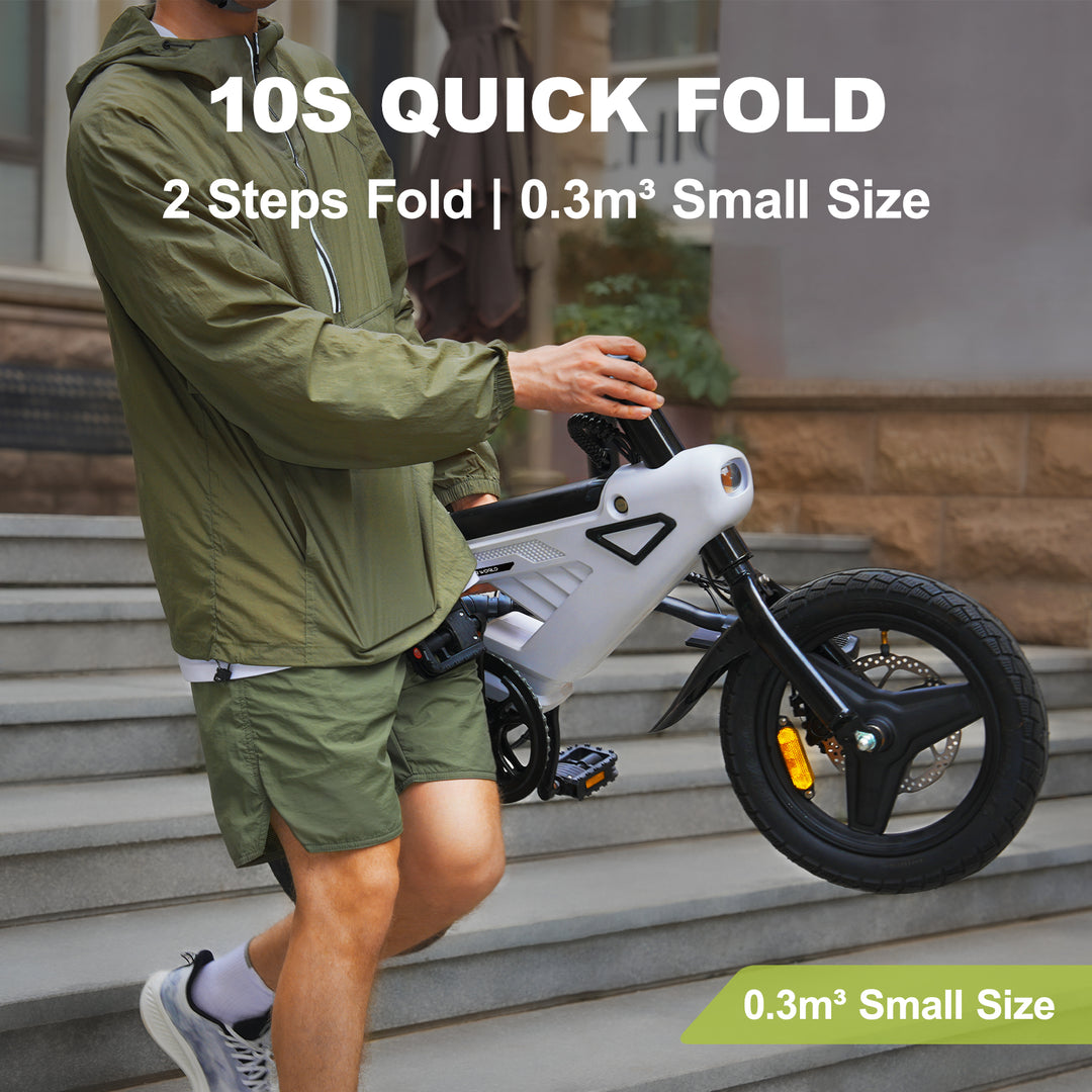 AVDL A02 * 2 E-bikes Bundle