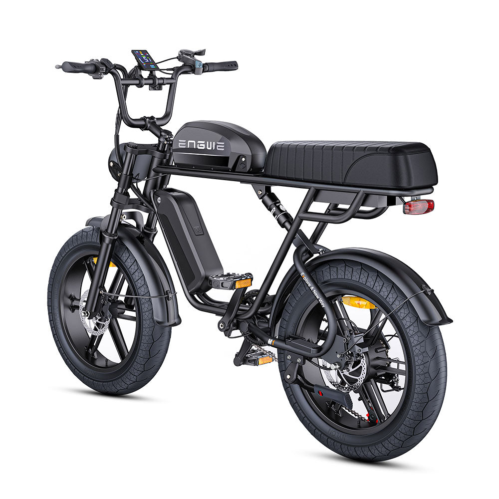 Engwe M1 250W Electric Fat Bike 20" Dual Batteries Retro E-bike