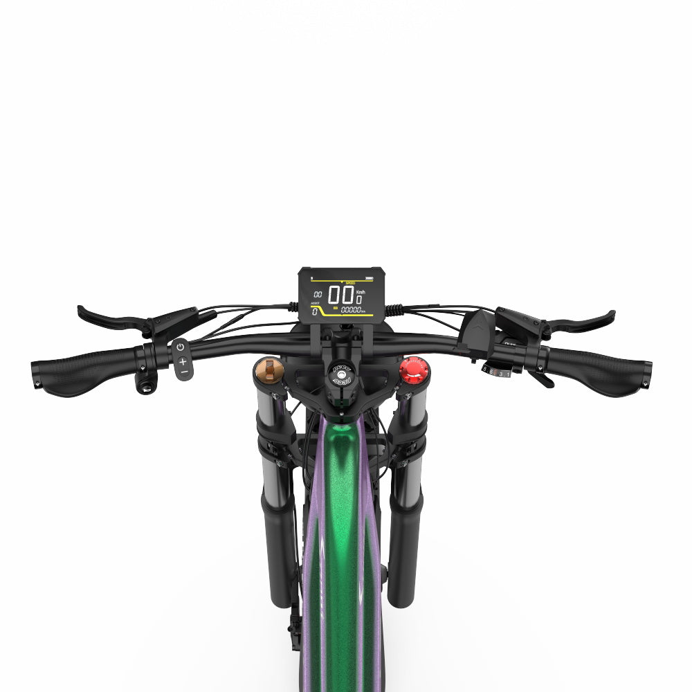 DUOTTS E26 750W Bafang Moteur 26" Fat Bike 960Wh Batterie Samsung Suspension complète E-MTB Support APP