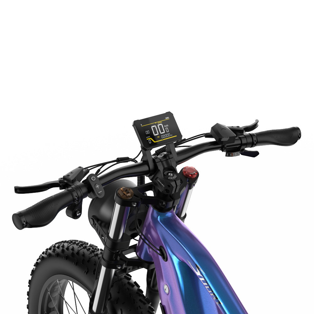 DUOTTS E26 750W Bafang Moteur 26" Fat Bike 960Wh Batterie Samsung Suspension complète E-MTB Support APP