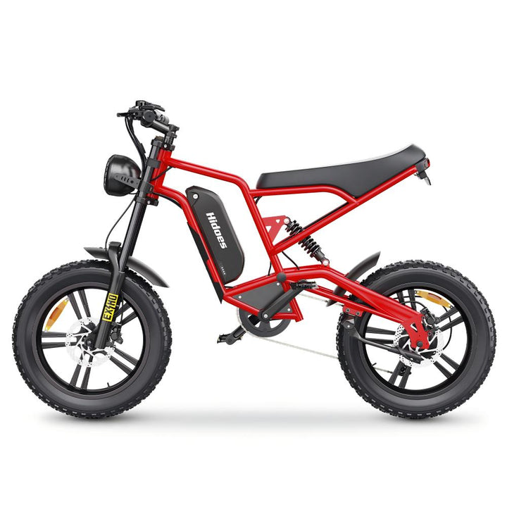 Hidoes B6 1200W 20" Fat Bike 720Wh Electric Bike 48V 15AH Battery