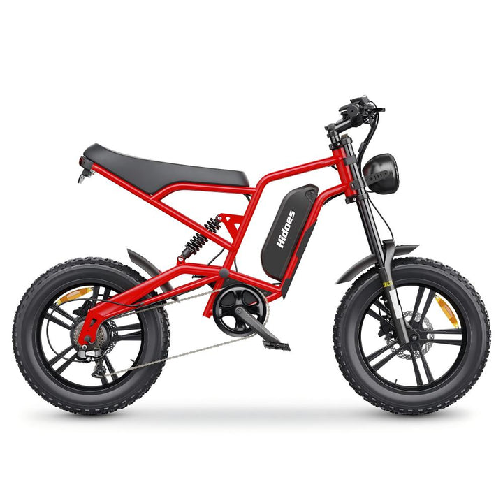 Hidoes B6 1200W 20" Fat Bike 720Wh Electric Bike 48V 15AH Battery