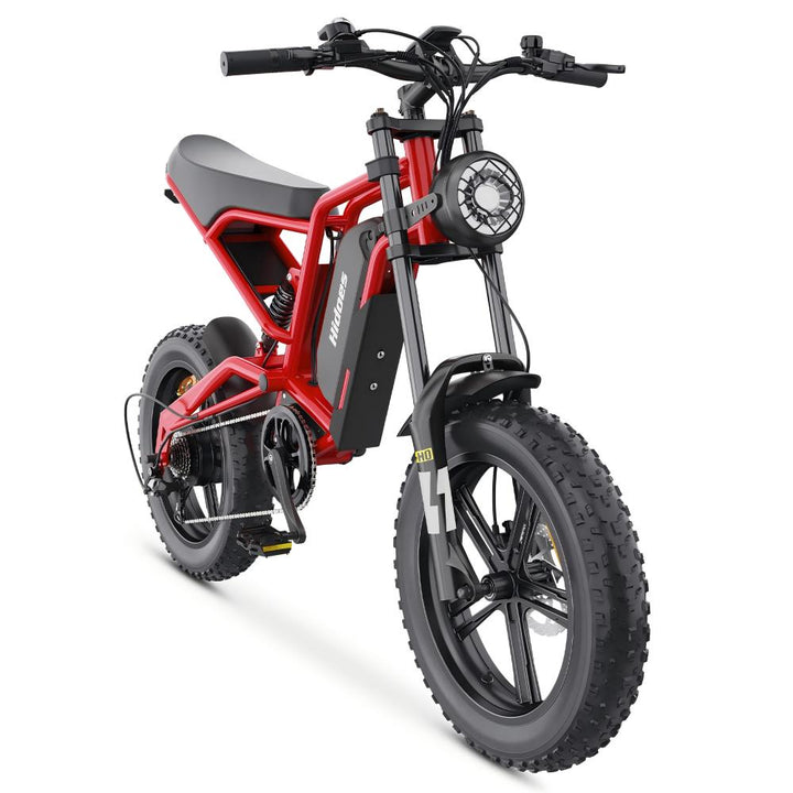 Hidoes B6 1200W 20" Fat Bike 720Wh Electric Bike 48V 15AH Battery