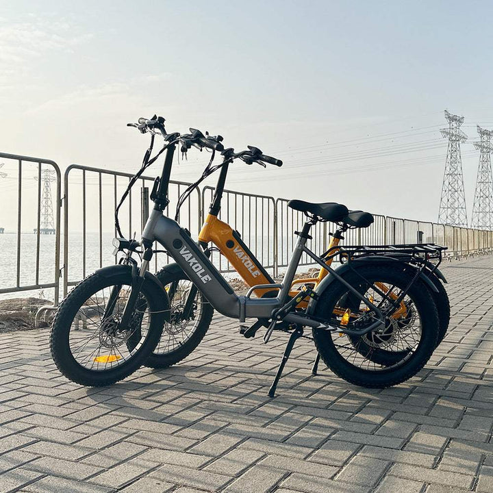 Vakole VT4 250W 20" Foldable Electric Bike 468Wh Step-through E-bike 36V 13Ah Battery