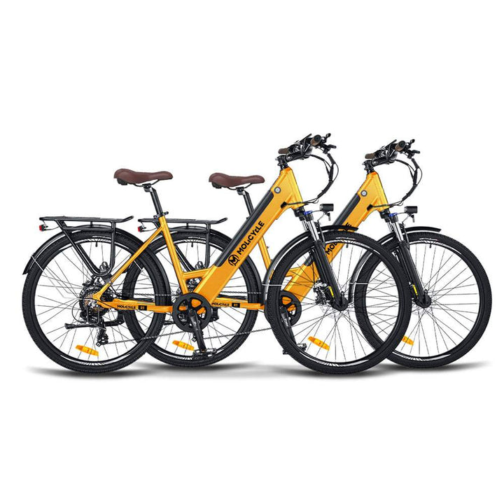 Molicycle R1 * 2 E-Bikes Bundle