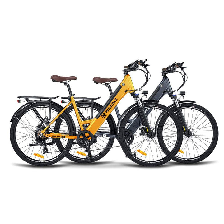 Molicycle R1 * 2 E-Bikes Bundle