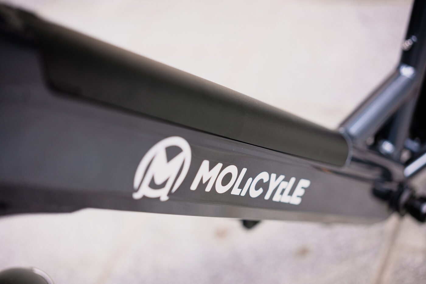 Molicycle R1 250W 26