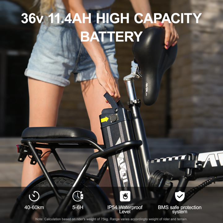 AVDL A10 250W Folding Electric Bike 16" 410Wh E-bike - Buybestgear