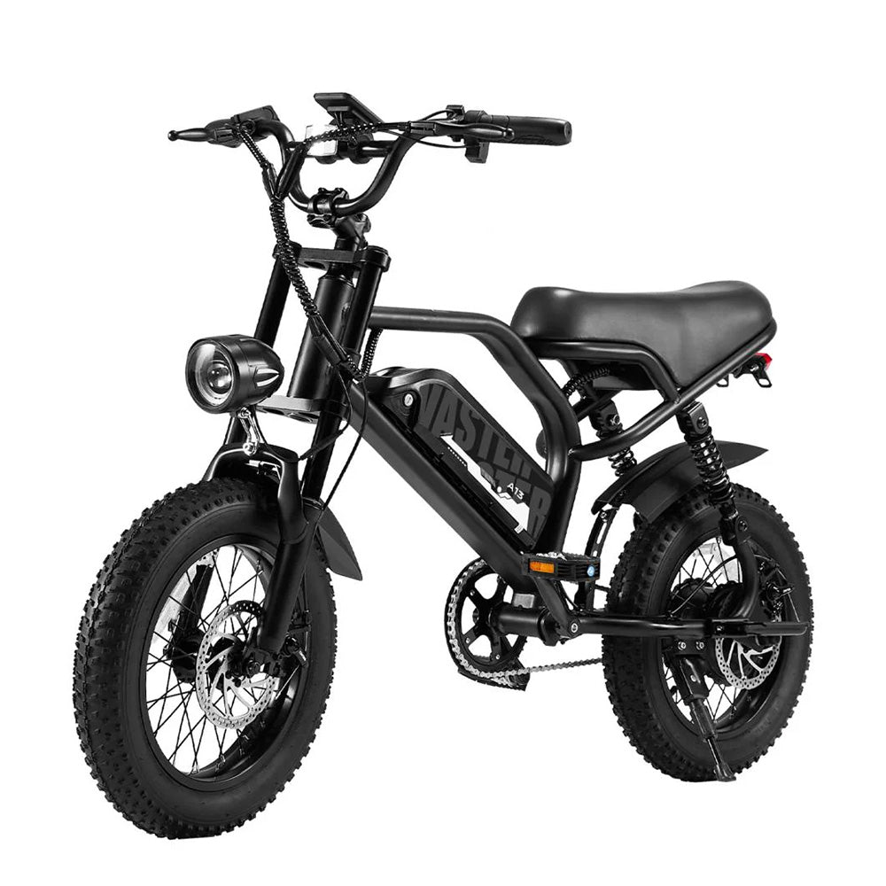 AVDL A13 250W Electric Fat Bike 16