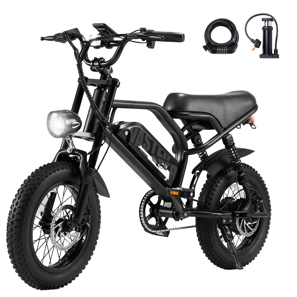 AVDL A13 250W Electric Fat Bike 16