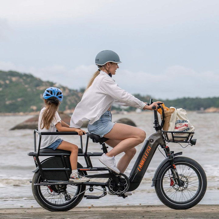 Lankeleisi Wombat-1 1000W 20" Electric Bike 960Wh Longtail Cargo E-Bike With Torque Sensor 48V 20Ah Battery