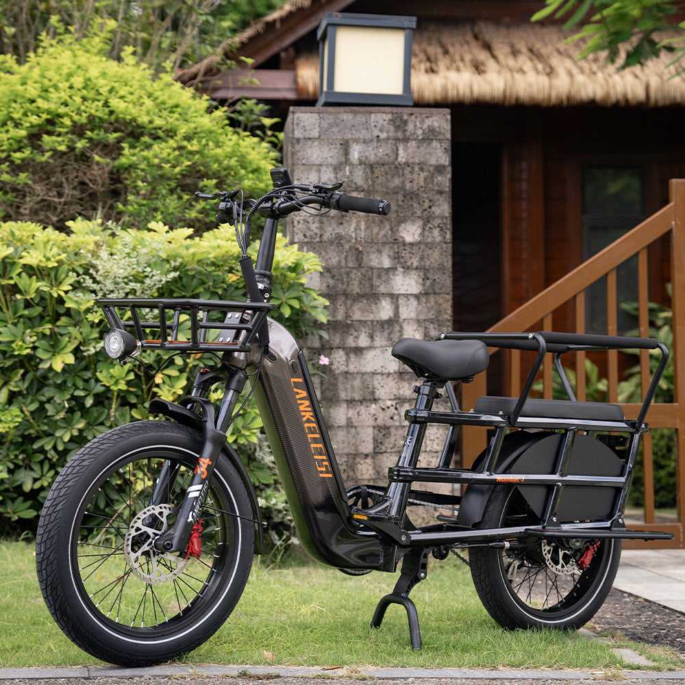 Lankeleisi Wombat-1 1000W 20" Longtail E-Lastenrad Cargo E-bike mit Drehmomentsensor 20Ah Samsung Akku